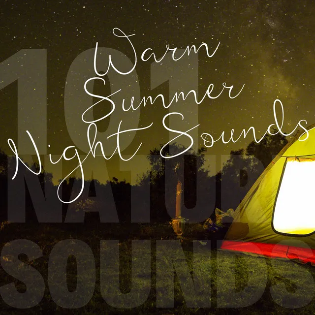 Warm Summer Night Sounds (Swamp, Forest, Jungle)