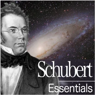 Schubert Essentials by Theodor Guschlbauer