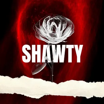 Shawty by Primo ZA