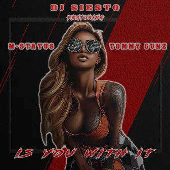 Is You With It by DJ Siesto