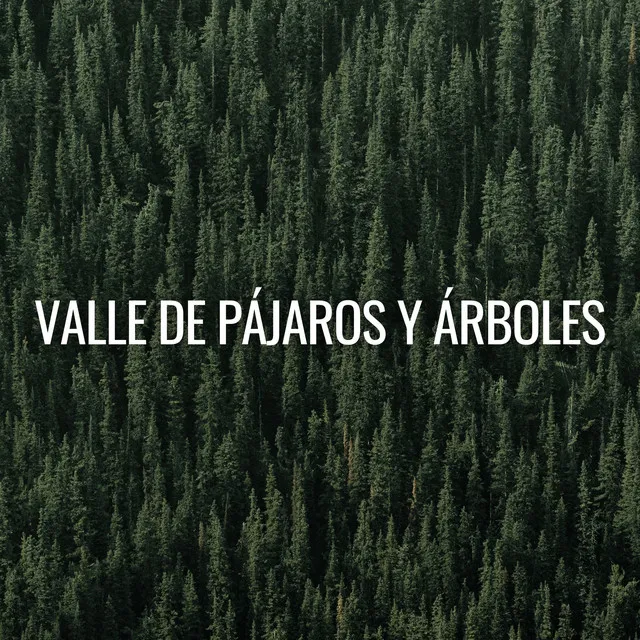 Valle De Pájaros Y Árboles