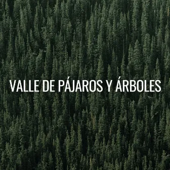 Valle De Pájaros Y Árboles by Acústica fácil y relajante