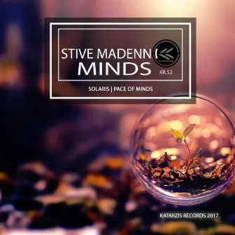 Minds by Stive Madenn