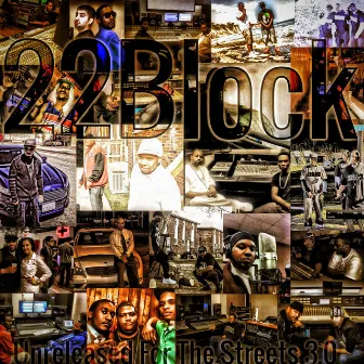 Unreleased for the Streets, Vol. 3.0 by 22Block