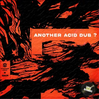 Another Acid Dub? by Stepper Sons