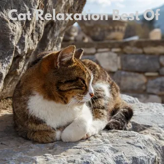 Cat Relaxation Best Of by The Cat Relaxer