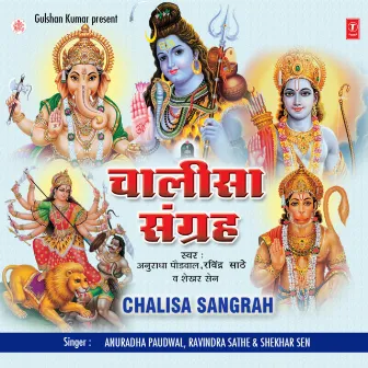 Chalisa Sangrah Vol-2 by Shekhar Sen