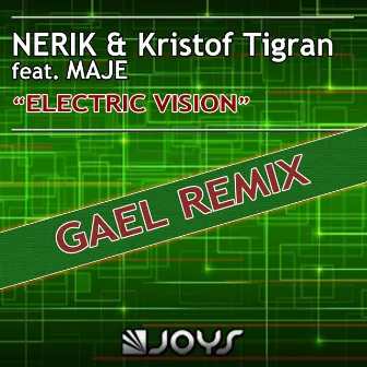 Electric Vision (feat. Maje) [Gael Remix] by Nerik