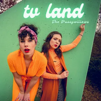 TV Land by The Pussywillows