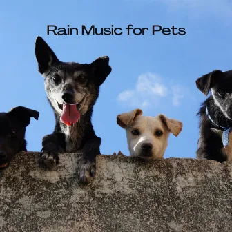 Rain Music for Pets by Precip