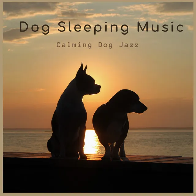 Calming Dog Jazz