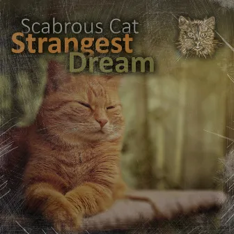 Strangest Dream by Scabrous Cat