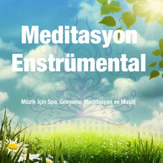 Meditasyon Enstrümental: Müzik için Spa, Gevşeme, Meditasyon ve Masaj by Meditasyon Enstrümental