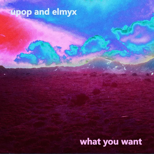 What You Want