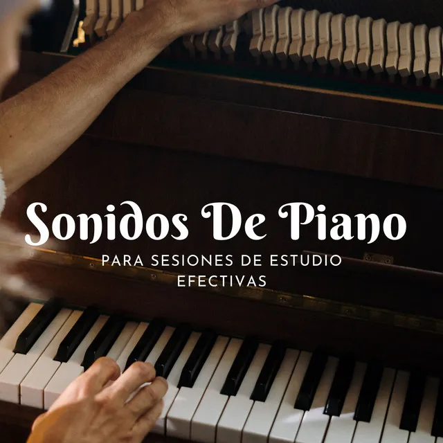 Sonidos De Piano Para Sesiones De Estudio Efectivas