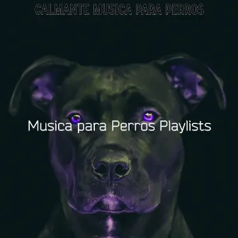 Calmante Musica para Perros by Música para Perros Playlists