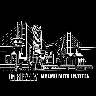 Malmö mitt i natten by Grizzly