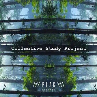 Collective Study Project by Focus Music For Studying