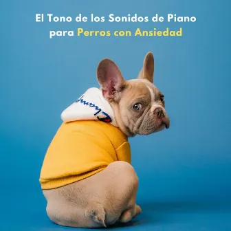 El Tono De Los Sonidos De Piano Para Perros Con Ansiedad by Salón cafetería