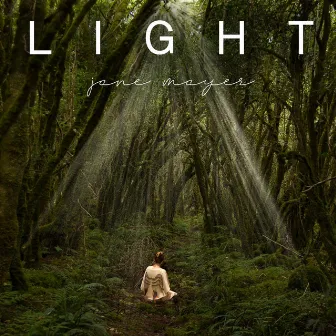 LIGHT by Jane Mayer