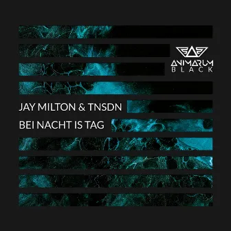 Bei Nacht is Tag by Jay Milton