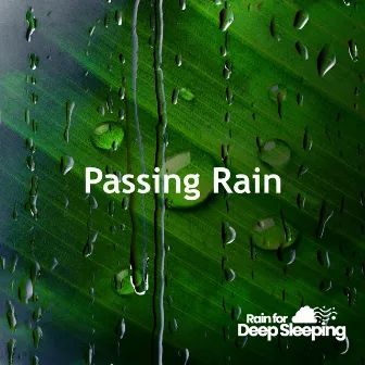 Passing Rain by Rain for Deep Sleeping