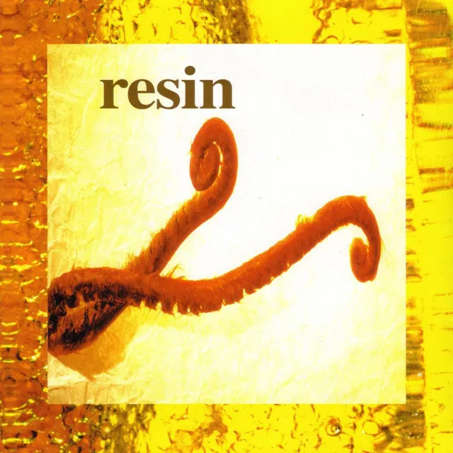 Resin