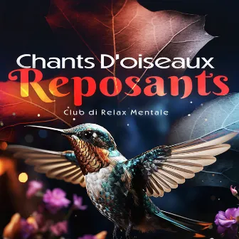 Chants D’oiseaux Reposants by Club di Relax Mentale