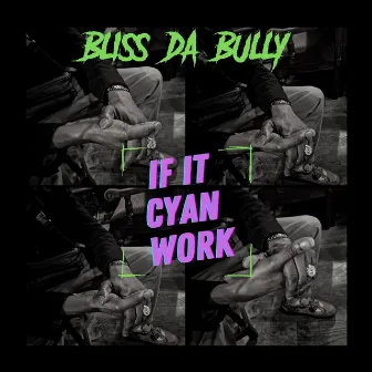 If It Cyan Work by Bliss Da Bully