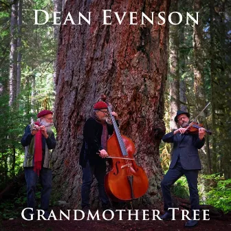 Grandmother Tree by Douglas Johnson