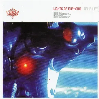 True Life by Lights Of Euphoria