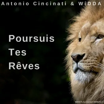 Poursuis tes rêves by WiDDA