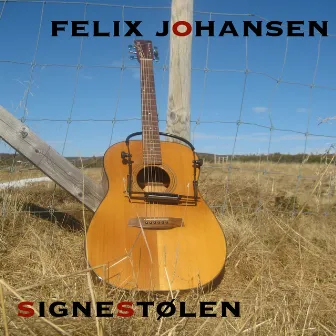 Signestølen by Felix Johansen