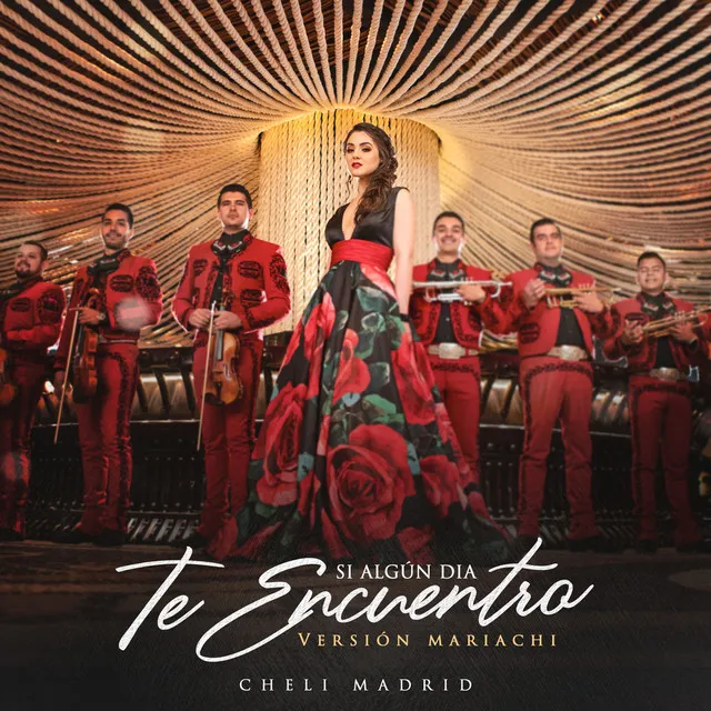 Si Algún Día Te Encuentro - Versión Mariachi