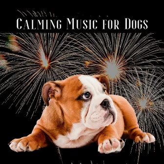 Calming Music for Dogs Afraid of Fireworks by Dog Therapy Zone