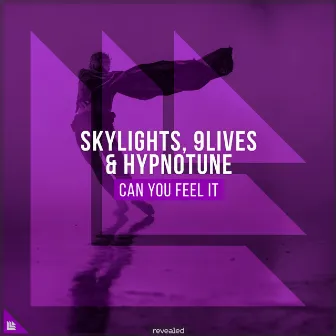 Can You Feel It by Skylights