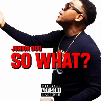 So What? by Junior Dog