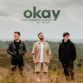 Okay by Nicky Romero