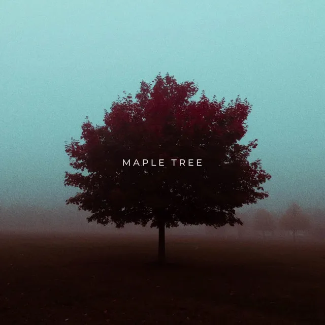 Maple Tree