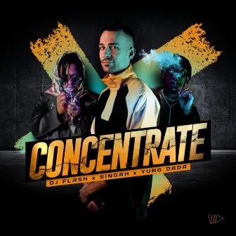 Concentrate by Singah