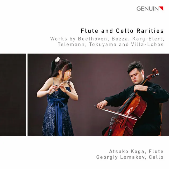 Contrastes I (Arr. for Flute & Cello): VII. Allegretto