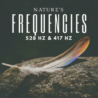 Natures Frequencies 528hz & 417hz by Nature's Frequencies