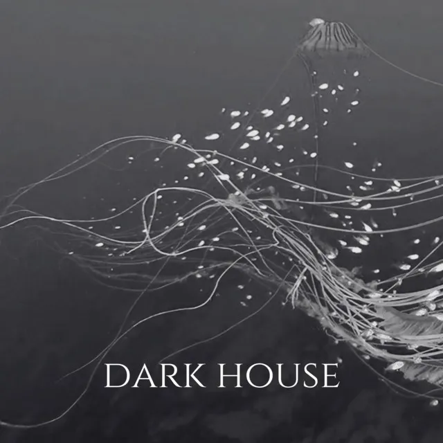 Dark House