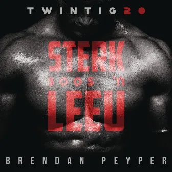 Sterk Soos 'n Leeu by Brendan Peyper