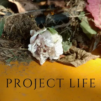 Project Life by E. T.