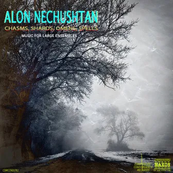 Chasms, Shards, Omens, Spells by Alon Nechushtan