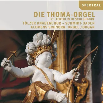 Die Thoma-Orgel St. Tertulin in Schlehdorf by Klemens Schnorr