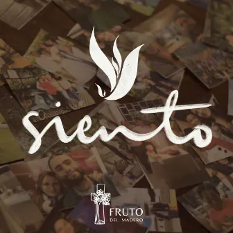 Siento by Fruto del Madero