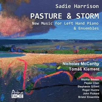 Pasture & Storm by Sadie Harrison