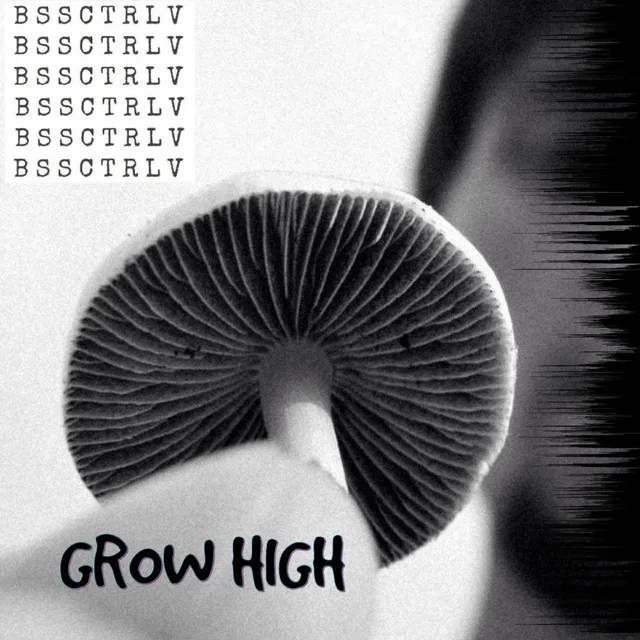 Grow High